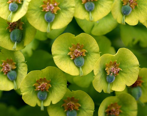 It’s Time To Experience Abundance